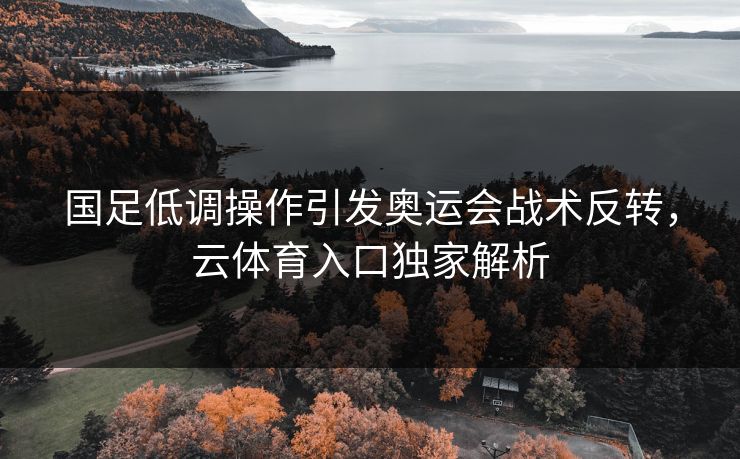 国足低调操作引发奥运会战术反转，云体育入口独家解析