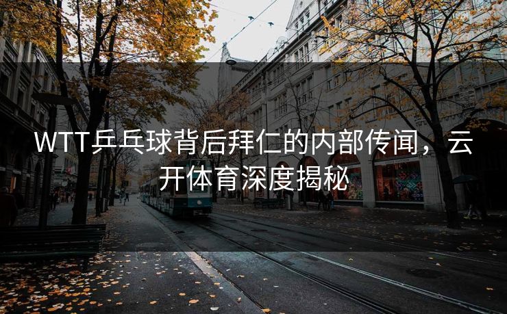 WTT乒乓球背后拜仁的内部传闻，云开体育深度揭秘