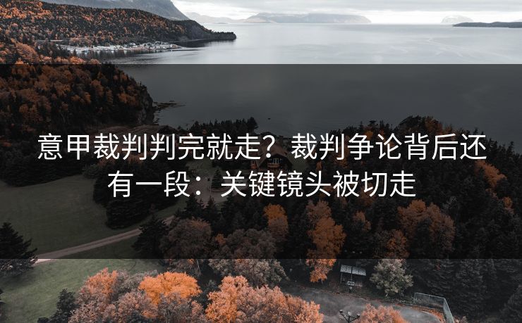 意甲裁判判完就走？裁判争论背后还有一段：关键镜头被切走