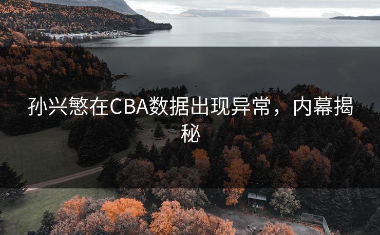 孙兴慜在CBA数据出现异常，内幕揭秘